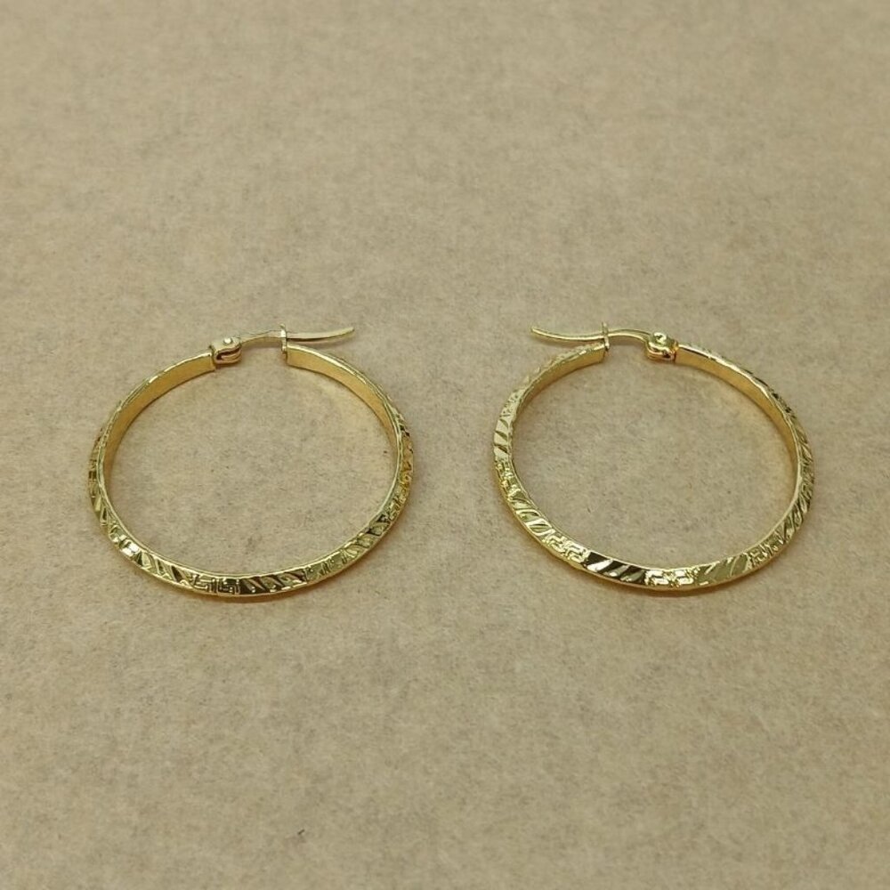 Stainless steel earrings , new with tags , color gold